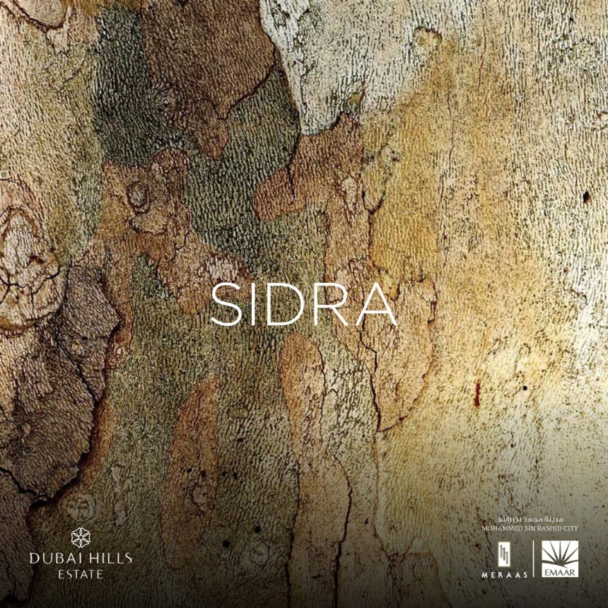 Brochure cover